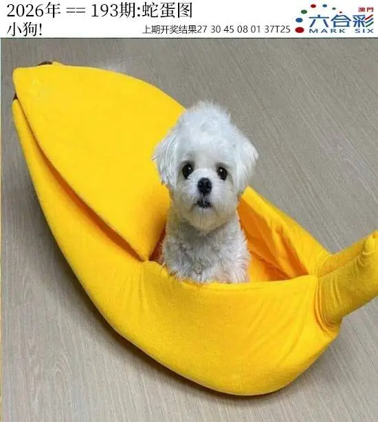 正版图库第193期