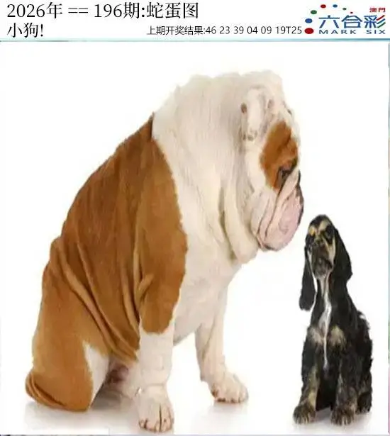 正版图库第196期
