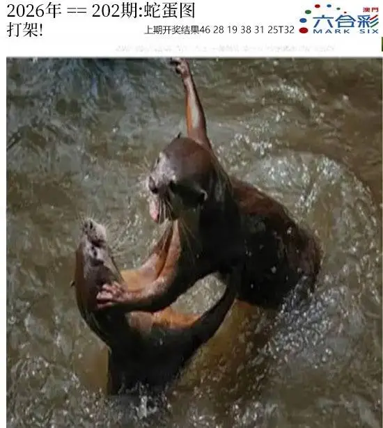 正版图库第202期
