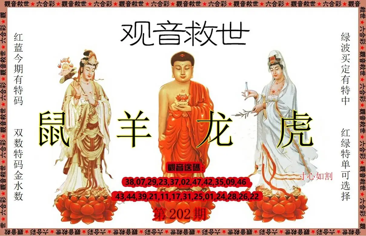 正版图库第202期