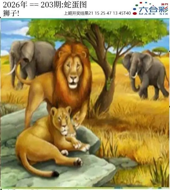 正版图库第203期