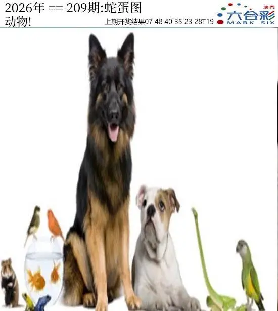 正版图库第209期